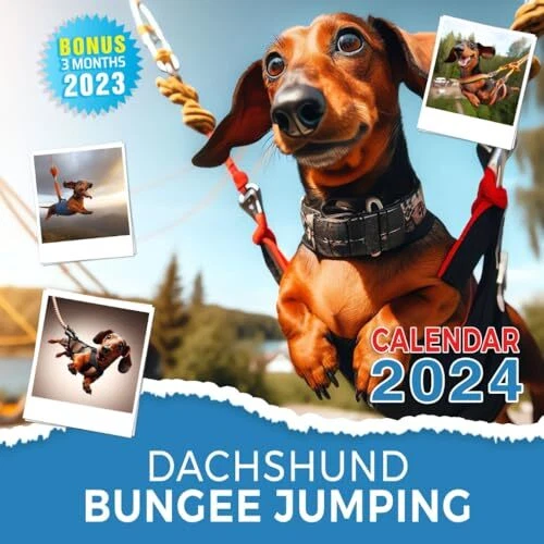 DACHSHUND BUNGEE JUMPING Calendar 2024 Jan 2024 to Dec 2024 Bonus 3