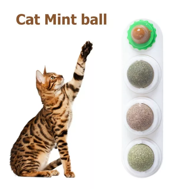 Edible Natural Cat Toys Catnip Balls Rotatable Interactive Cat Mint