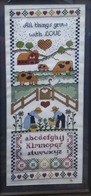 Completed Counted Cross Stitch Sampler Framed And Matted With Glass 1989