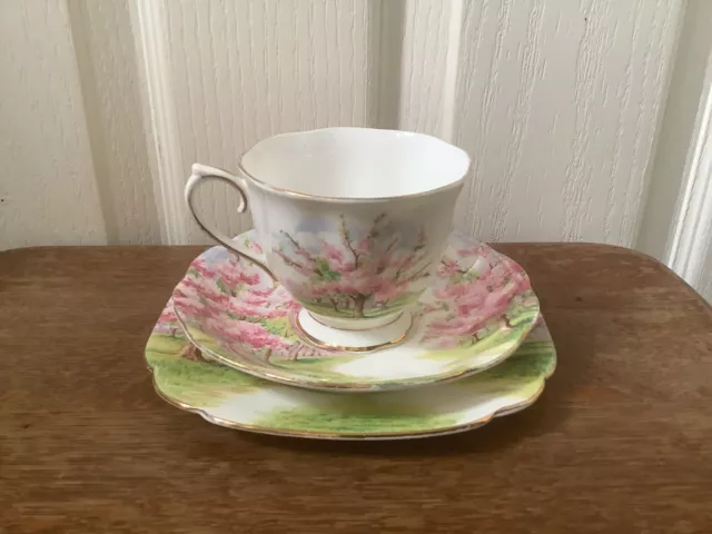 Vintage Royal Albert Blossom Time English Bone China Trio, Cup, Saucer, Plate.