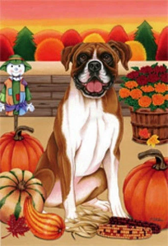 Autumn (TP) House Flag - Boxer 67026
