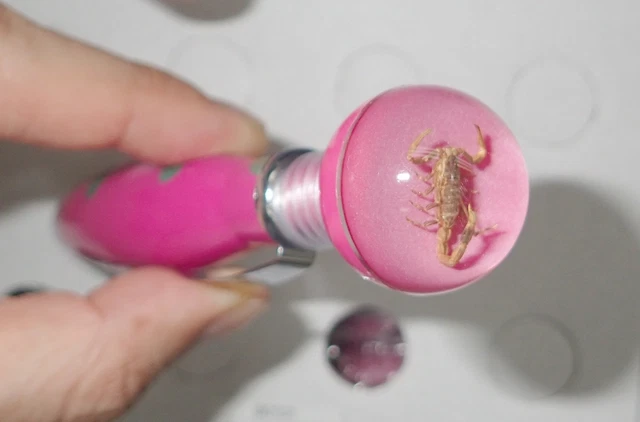 Insect Top Pink Color Ball Pen Golden Scorpion Specimen 2 pieces Lot