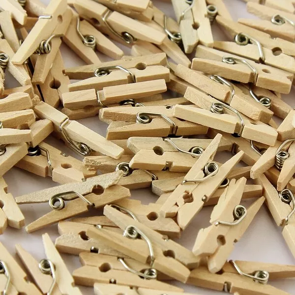 Craft Mini Wooden Pegs