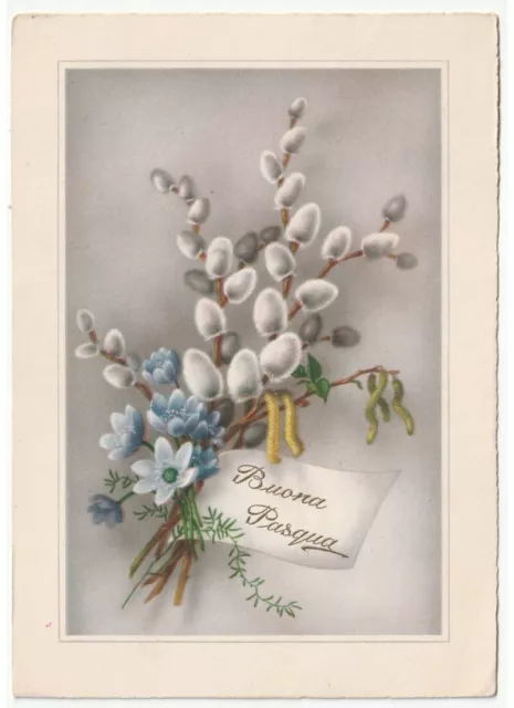 1955 mazzo fiori di salice biglietto augurale cartolina Buona Pasqua d'epoca