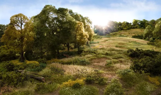 WoodlandScenics Estática Hierba Y Arbustos para Modelo Ferrocarril Y Wargame