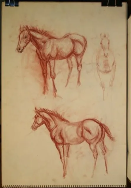 #1 Maureen Love Original Sketches of Multiple Horses