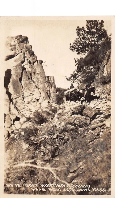 J43/ New Meadows Idaho RPPC Postcard c1920s Goat Hunting Grounds 245