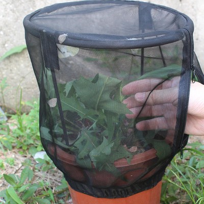 Habitat Habitat De Papillon De Cage De Filet D'insecte Réutilisable Pour Le Légume 