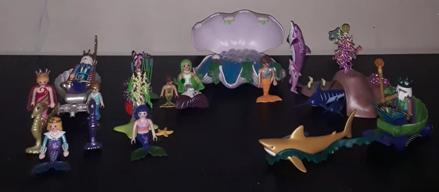 Piscine Playmobil Lot D'accessoires Playmobil Référence 4433 Ref 5 - Occasion En Très Bon état Playmobil Viking 4433