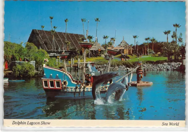 Dolphin Lagoon Show SEA WORLD San Diego, CA 4x6 ca 1970s Vintage Postcard