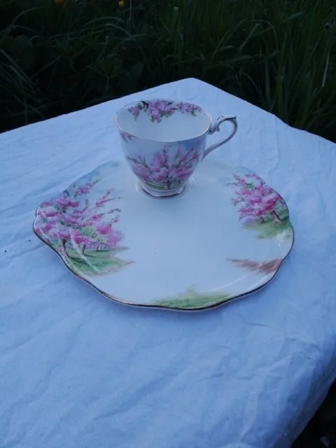 Royal Albert Blossom Time RARE Round TV plate Tennis Plate And Cup 8.25"