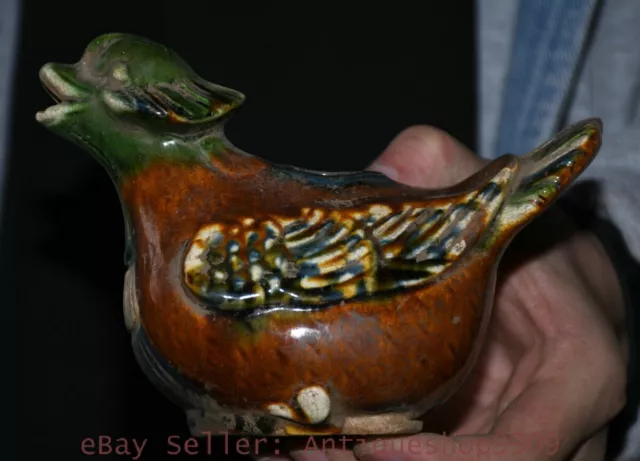 5.6" Old China Tang sancai Porcelain Dynasty Palace Pigeon Bird Teapot