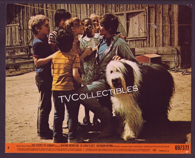 8x10 Lobby Card~ 80 STEPS TO JONAH ~1969 ~Wayne Newton ~Erin Moran ~Teddy Quinn