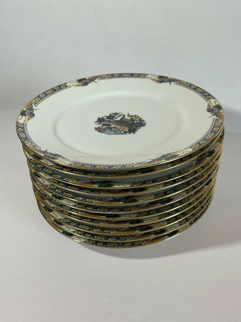 11 assiettes plates  Robert Haviland & Le Tanneur Porcelaine Limoges