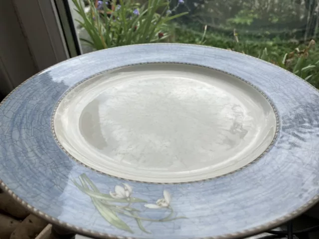 1 x Wedgwood SARAH'S GARDEN Pale Blue  SNOWDROP dinner plate. 10.75"  Rare