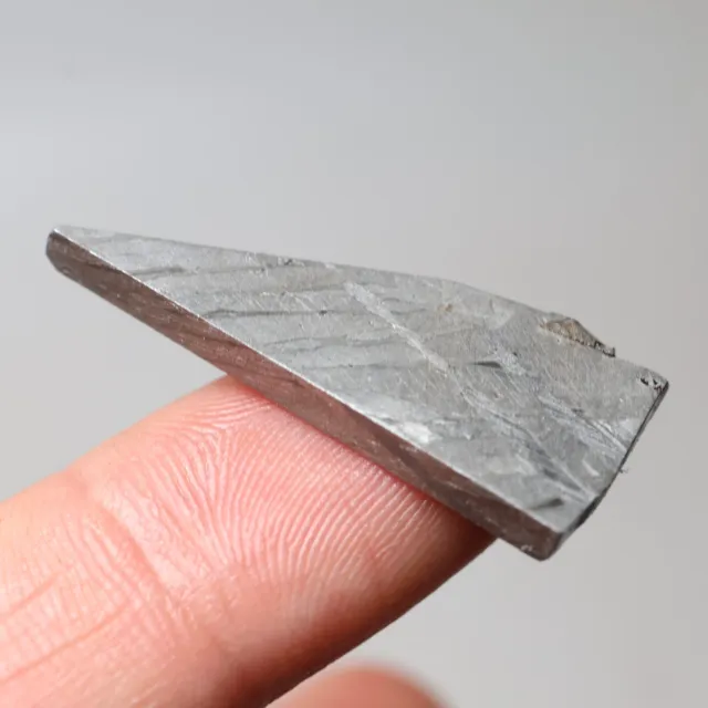 4g  Muonionalusta meteorite part slice C7307