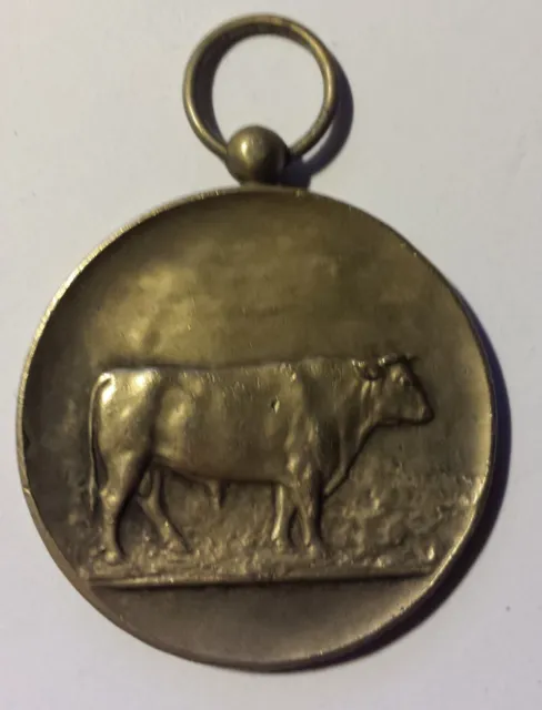 BELGIQUE Médaille bronze Comice agricole Syndicat d'élevage concours Dour 1923