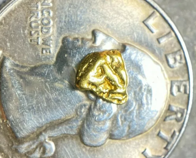 PURE GOLD NUGGET ALASKA YUKON BC NATURAL SMALL ROCK HAND PICKED RAW FINE 22k .3g 2