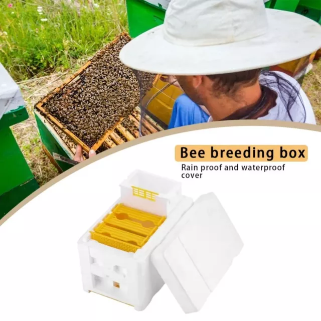 Foam Beekeeping King Box Harvest Bee Hive Pollination Boxes  Beekeeping Tools
