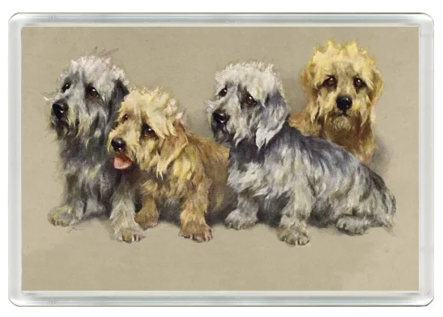 Dandie Dinmont Terrier Dogs Dog Art Print Novelty Fridge Magnet Great Gift