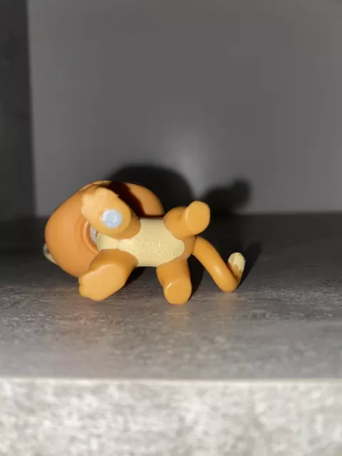 Littlest Pet Shop LPS shorthair cat #790 3