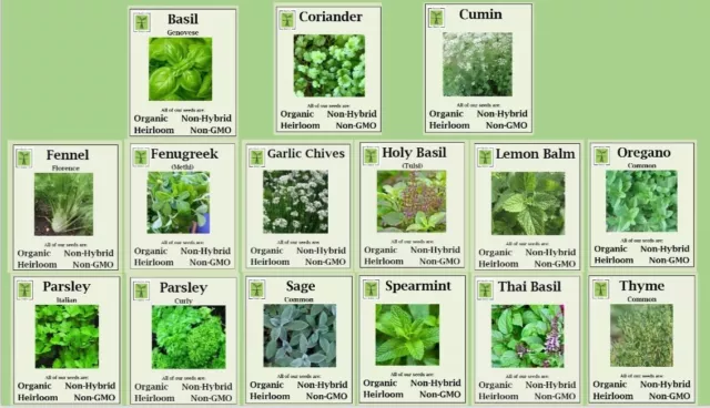 ORGANIC, NON-GMO, NON-HYRID, HEIRLOOM Herb Seeds