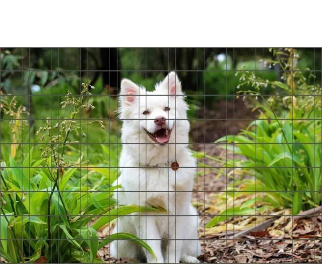 Hundewelpe - Bedruckte Zaun Sichtschutz Streifen Fotodruck Zaunposter Gitterzaun