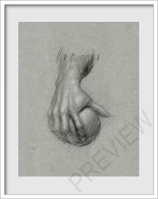 Original Male Hand Arm Study  Figure 8x10 Sketch Drawing FREE SHIPPING