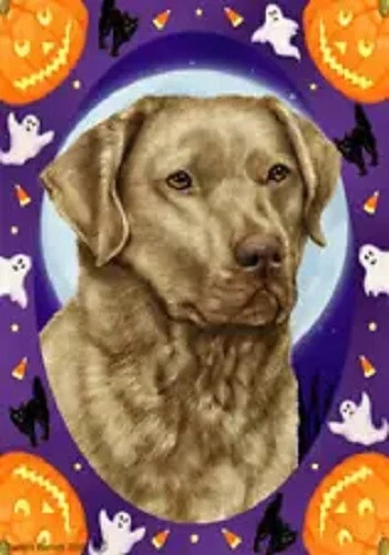 Halloween Garden Flag - Deadgrass Chesapeake Bay Retriever
