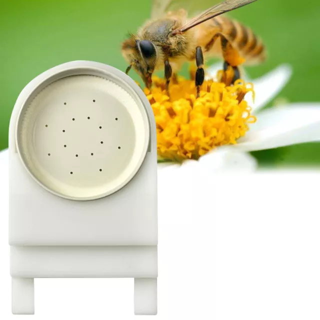 Imkerei Werkzeug Feeder Bienenstock-Futter Bienenfutterstation