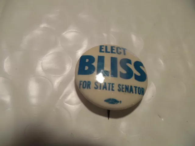 Connecticut Pin Back Local Campaign Button Bliss State Senator Political Badge