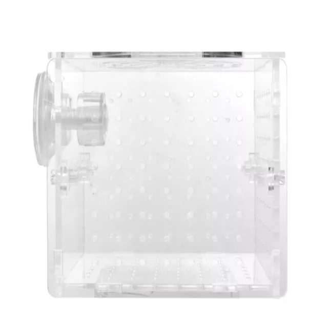 Drip Acclimation Kit Isolated Breeding Tank Breeder Net Aquarium