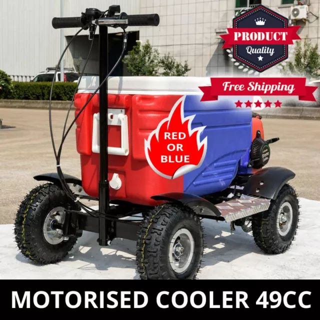 49cc 4 Stroke Motorised Cooler Scooter Esk Motorised Scooter Icebox Disc Brake