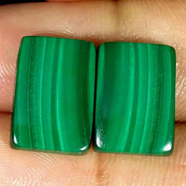 21.50Cts Natural Green Malachite Cushion Pair Cabochon Loose Gemstones