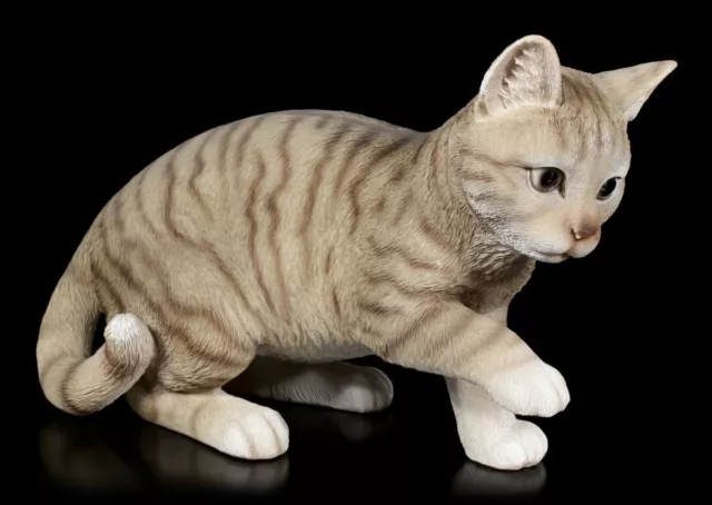 Katzen Figur - Amerikanisch Kurzhaar - niedliches graues Kätzchen Deko Geschenk
