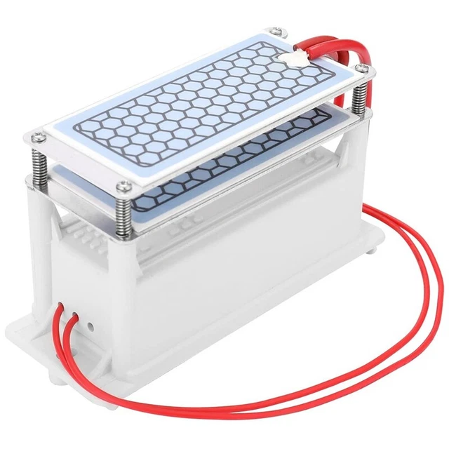 GéNéRateur D'Ozone 10000Mg/H, Purificateur D'Air D'Ozone à Double Plaque IntéGH8