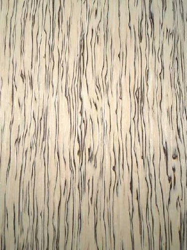 Abedul Textura Chapa de Madera SaRaiFo Burr Maserbirke Fein 250x32cm S