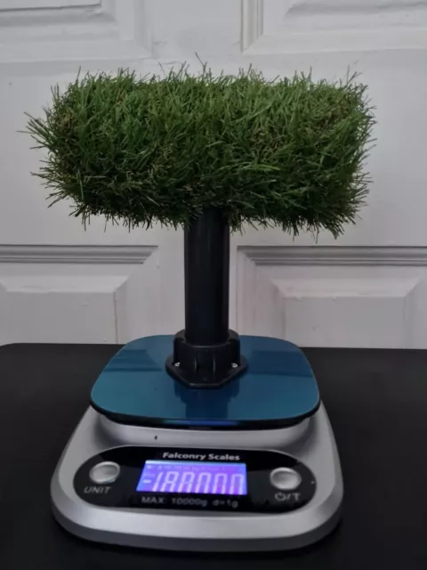 Falconry Scales 10 kg- 22 lb with Real AstroTurf