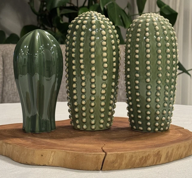 calathea luftverbesserer Korbmarante 'Insignis'