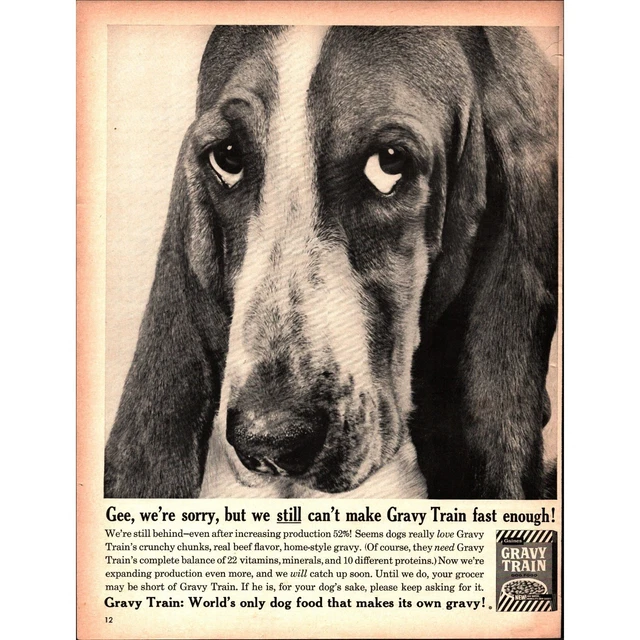 Basset Hound, Dogs, Animals, Collectibles - PicClick CA