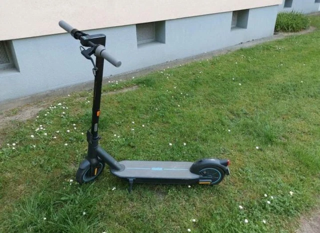 Caricabatterie Originale Xiaomi/Segway Per Monopattini Mi M365 PRO 2, 1S, 3, ES, MAX G30D