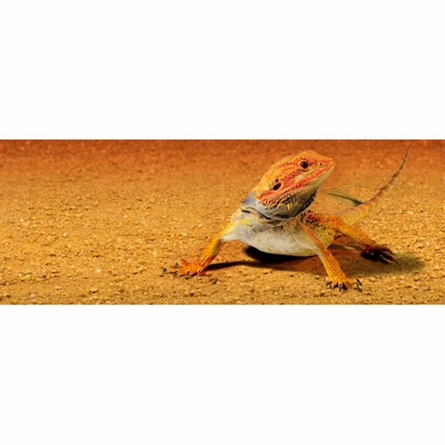 Exo terra Reptile Sand Mat Desert Terrarium Substrate Mini