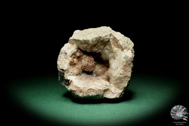 Quarz XX & Hämatit Deutschland Sammlung Druse Mineral Stufe Kristall Deko deco