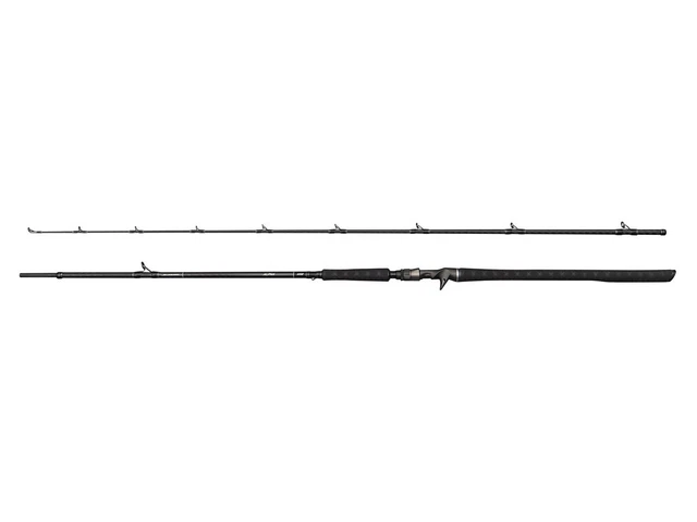 Canne Spinning Favorite Totem FAST 2.94m – 2 Brins, Neuve, Action De Pointe