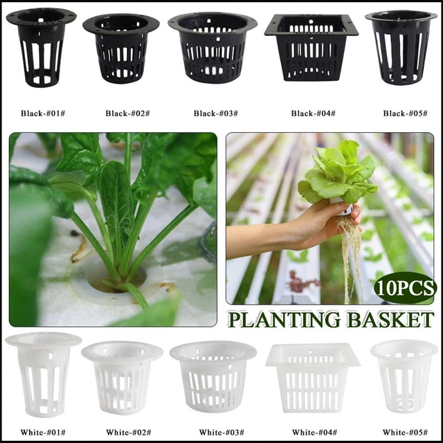 les pots de fleurs Pépinière les plateaux de semence la plantation de panier