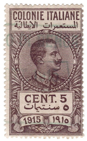 (I.B) Italy (Libya) Revenue : Duty Stamp 5c (1915)