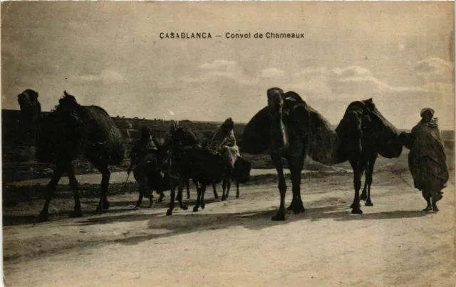 CPA AK Casablanca - Convoi de Chameaux MAROC (963438)