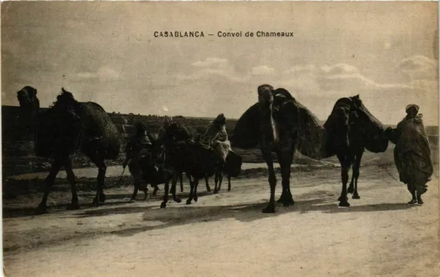 CPA AK Casablanca - Convoi de Chameaux MAROC (963438)