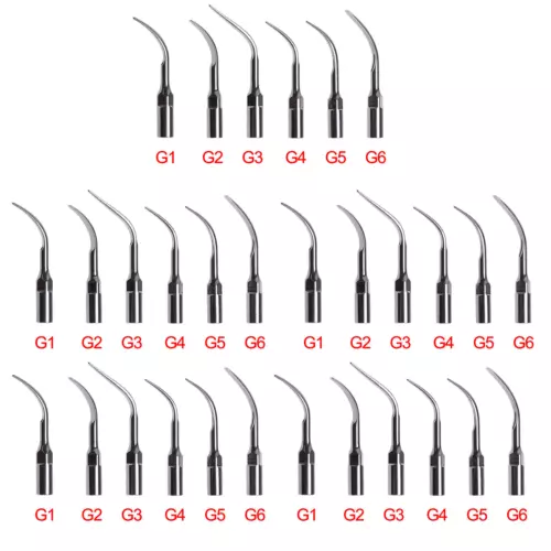 6 Types Dentaire ultrasonic Scaler Scaling Endo Perio Tips fit EMS Woodpecker