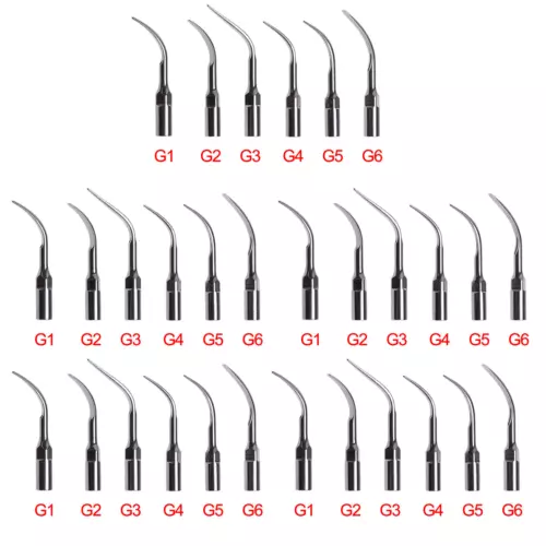 6 type Dental Endo Perio Scaler tip Scaling TIPPS Fit EMS Woodpecker handpiece